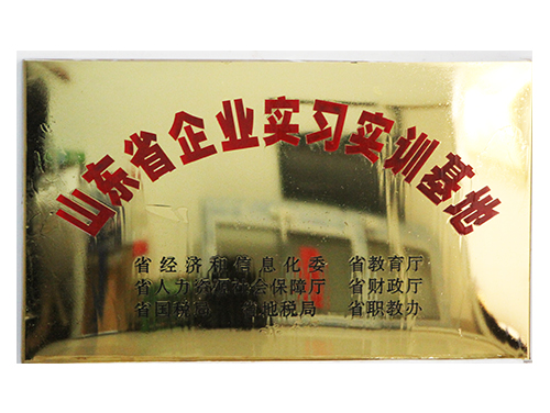 山東省企業(yè)實(shí)習實(shí)訓基地